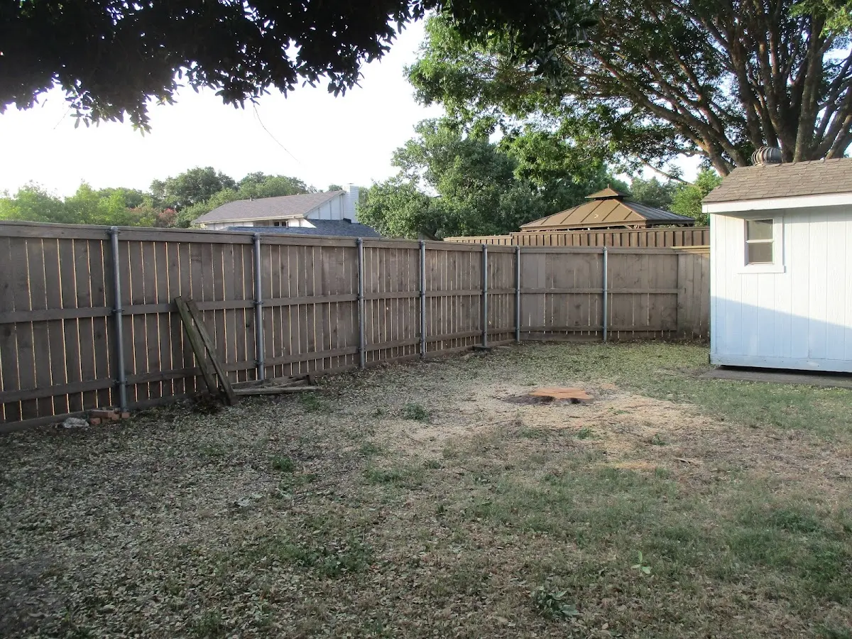Cleared yard after professional tree removal in Grosse Ile